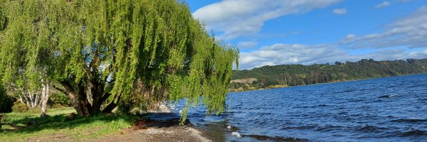 NydiaCastro1 Profile Banner