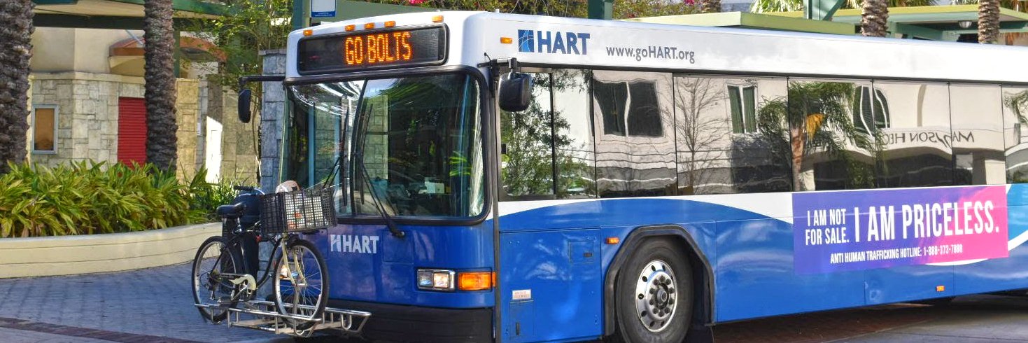 HART 🦩's banner