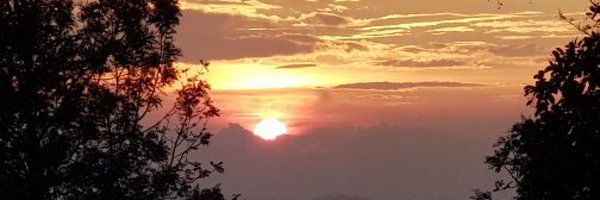 sanjaybantu Profile Banner