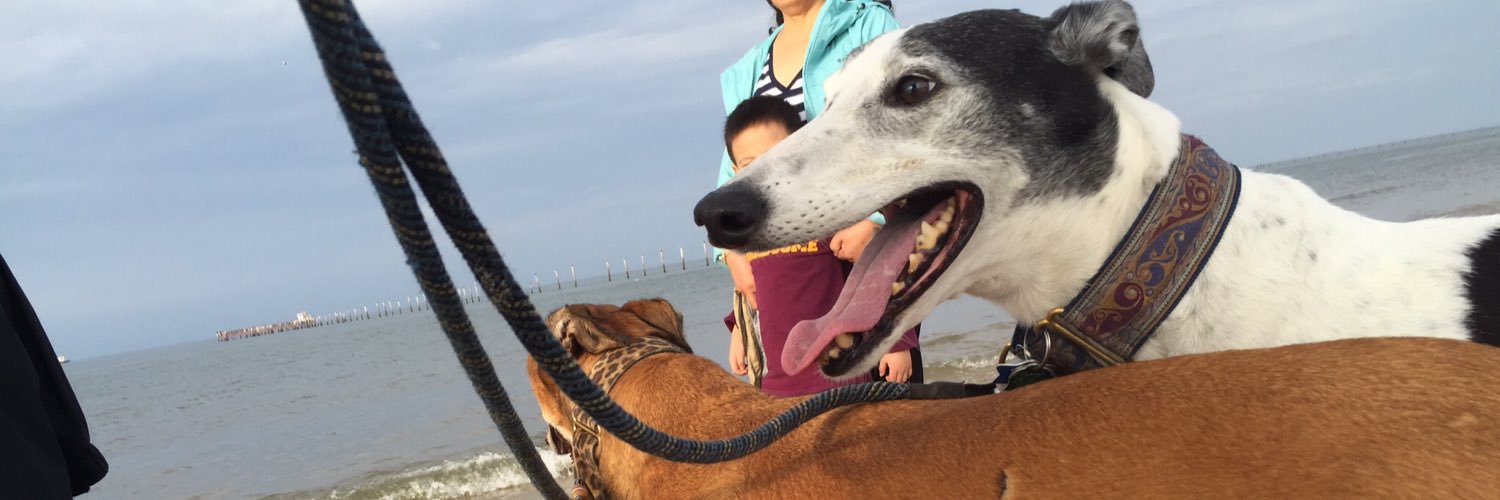 dlhamby's profile banner image