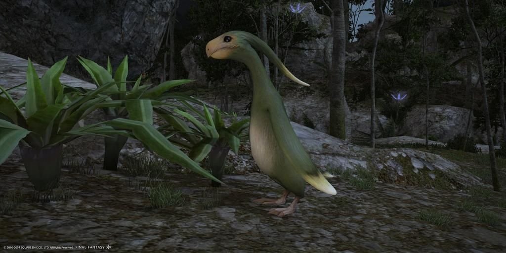 lahauru's profile banner image