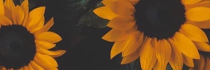 anazeliac's profile banner image