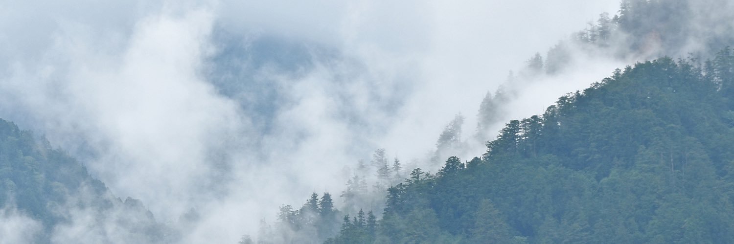 mogiso3's profile banner image
