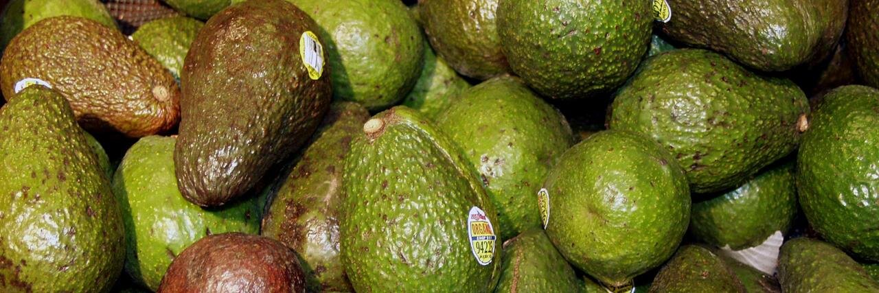 GuacamoleU's profile banner image