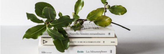 Amy Nelmes Bissett banner