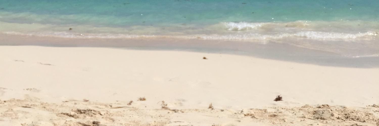 Bengelm1's profile banner image