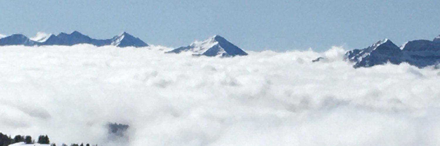 Matthew McCarthy banner