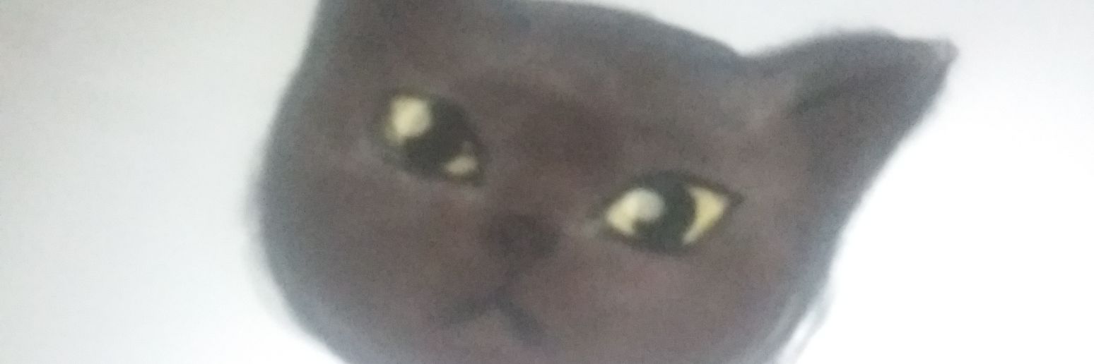 forterisa's profile banner image