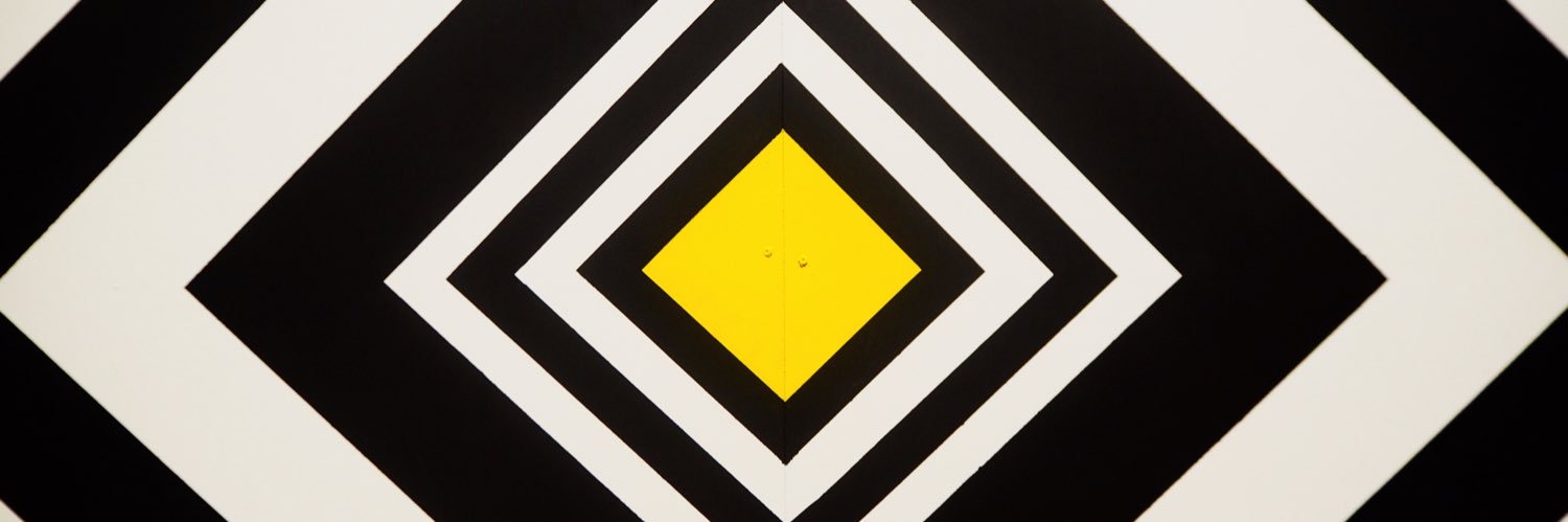 vrorosa's profile banner image