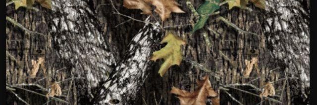 Destiny Vanisouvong banner