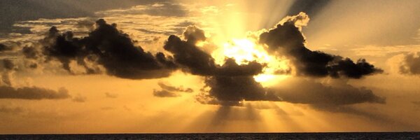 lupemay Profile Banner