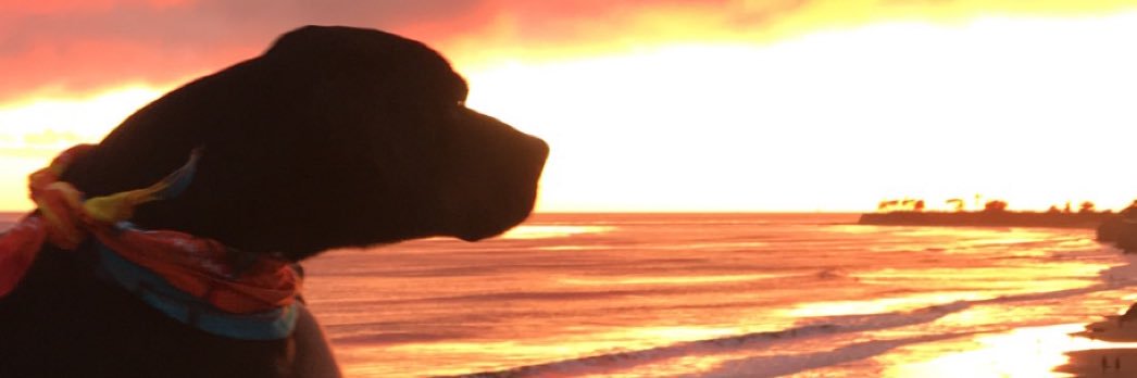 Casey_Bash's profile banner image