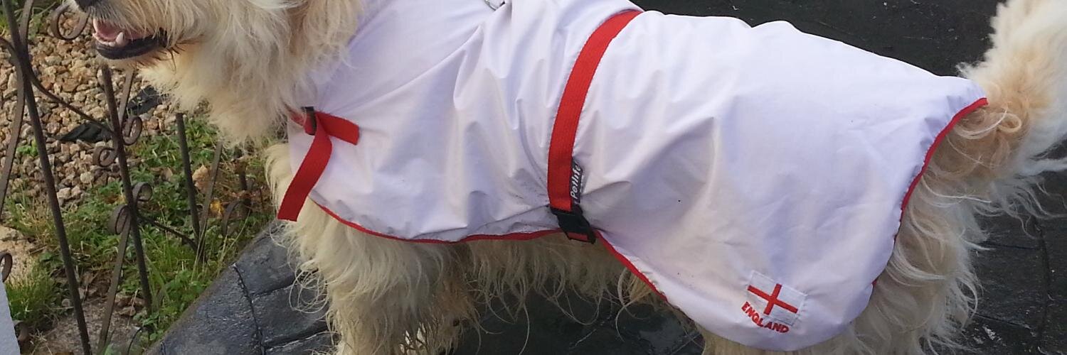 Sara Barnard banner