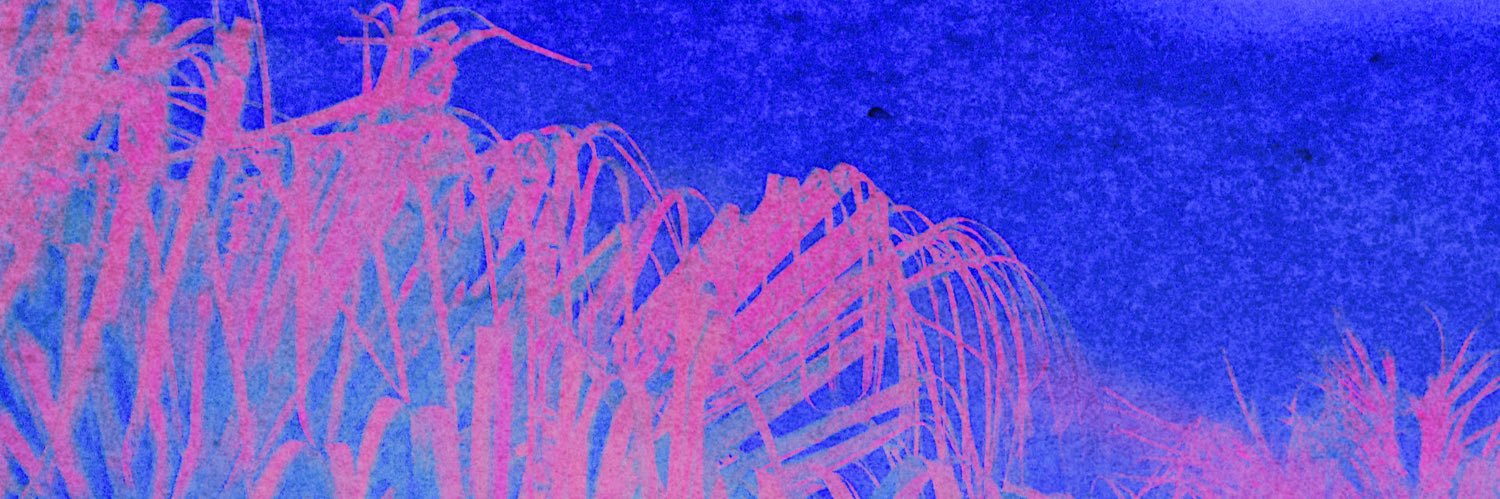 SergioWonder's profile banner image