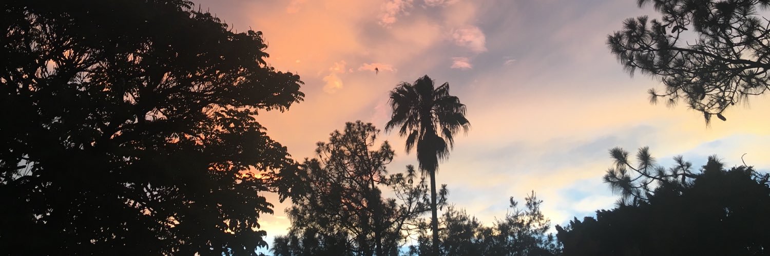 minalesadepollo's profile banner image