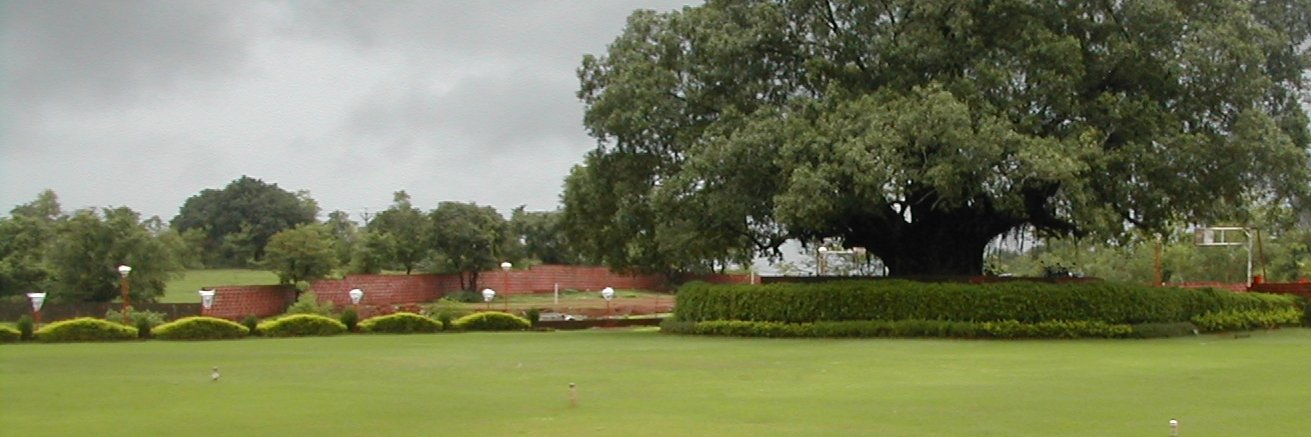 vinodkram's profile banner image