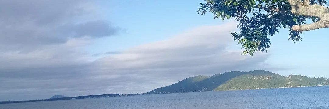 Fadalisa's profile banner image
