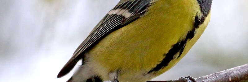 Сергей Мартынов banner