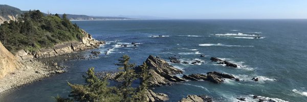 ricball Profile Banner