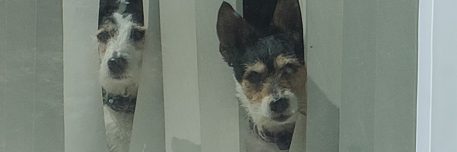 gary p jackson banner