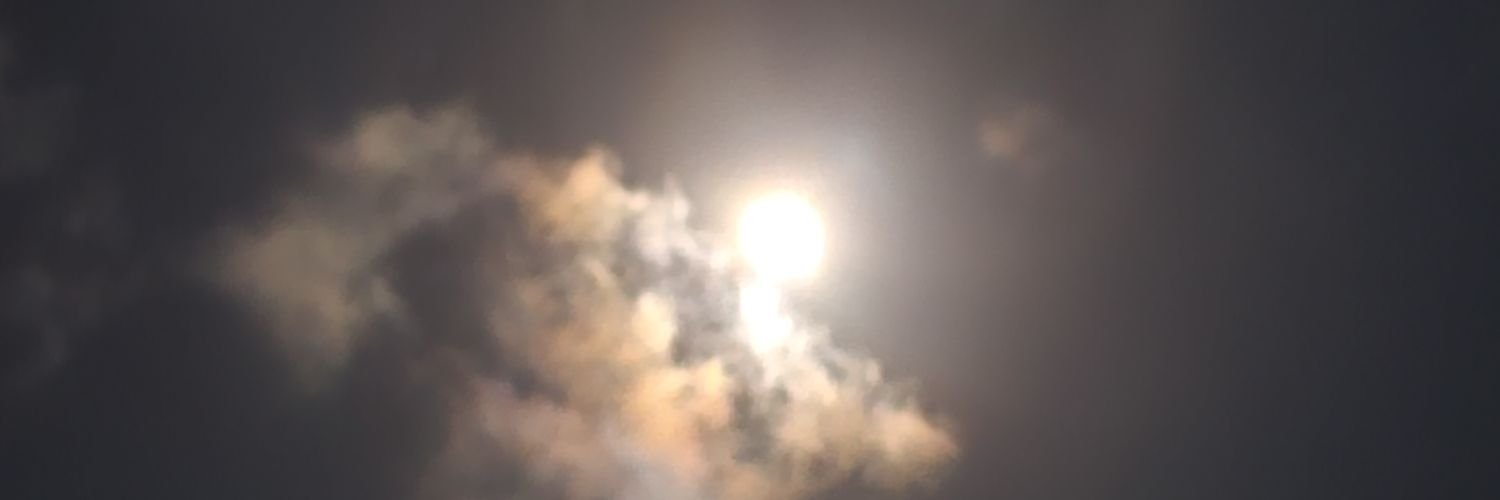 prcnunes's profile banner image