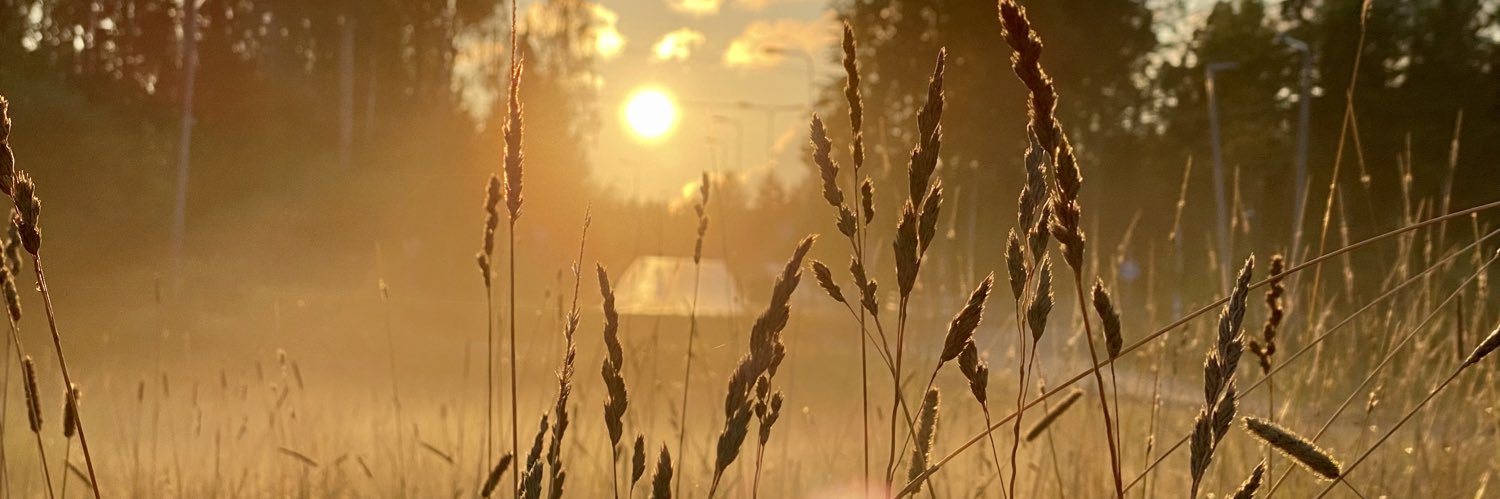 tassberg's profile banner image