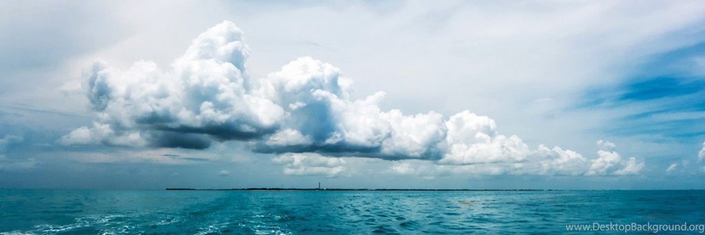 TheAlgorithmC's profile banner image
