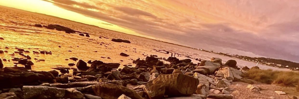 shilllii's profile banner image