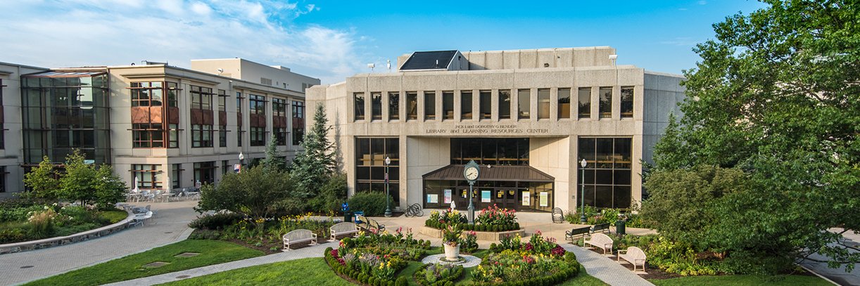 American University Library banner