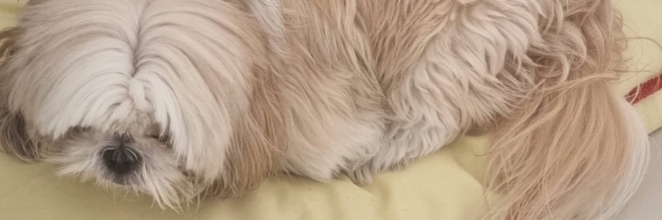 Mari_Sky's profile banner image