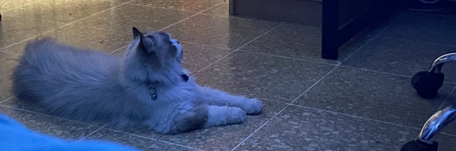 idkatmeg's profile banner image