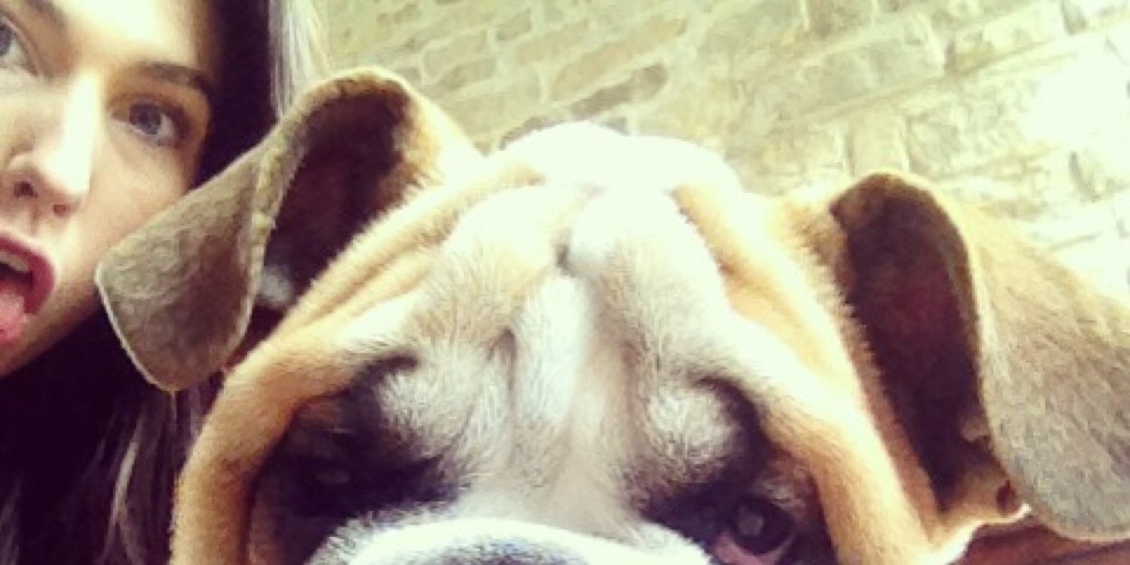 HarleyLuvBoon's profile banner image