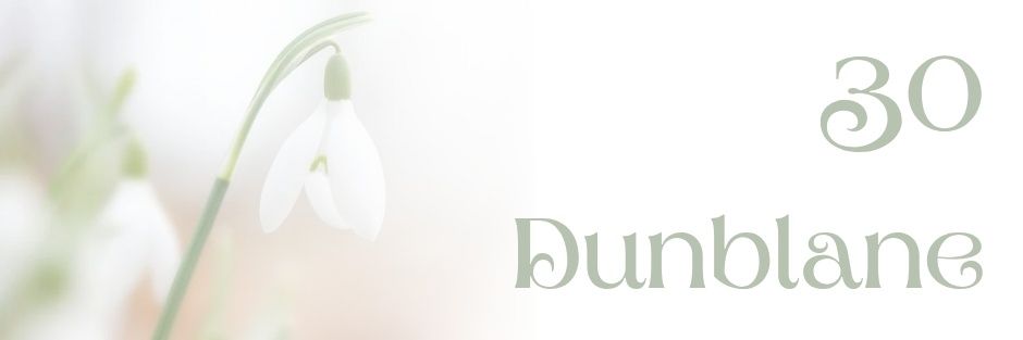 Stooshie's profile banner image