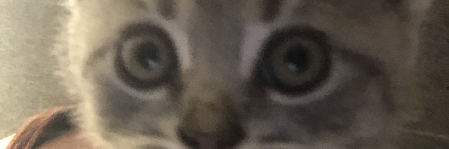 amywyp's profile banner image