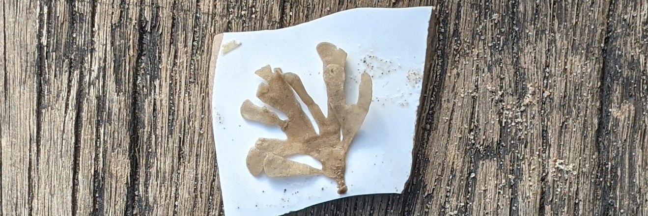 Darren Baxter-Clow banner