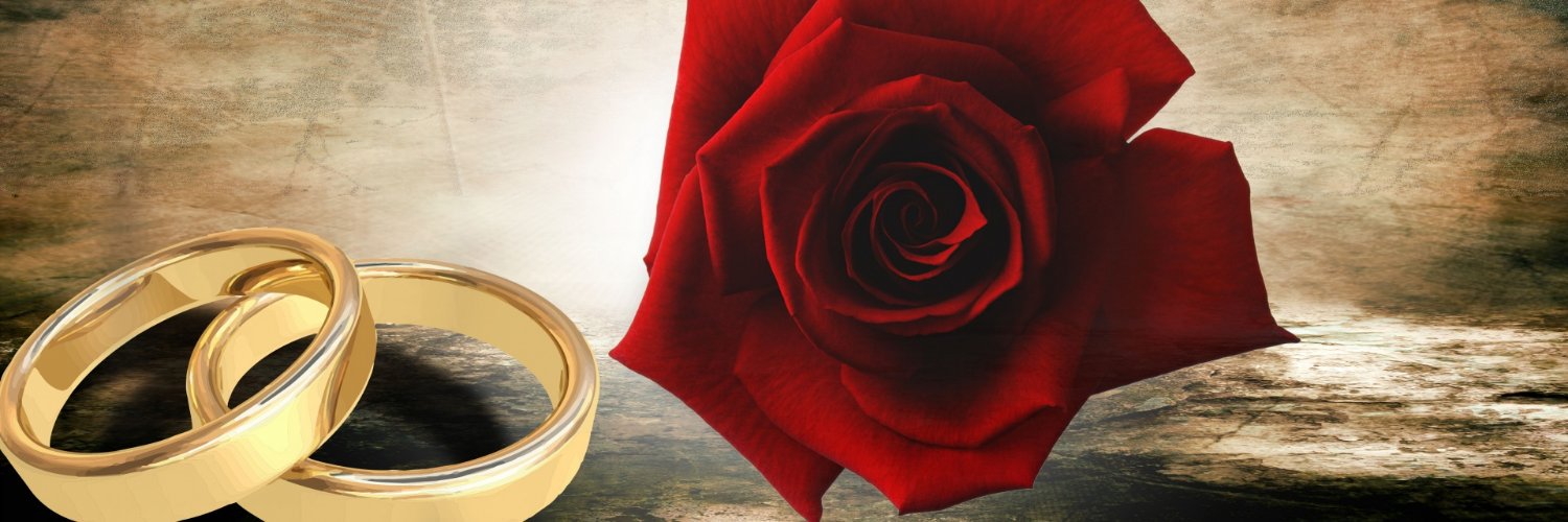 WeddingsBest's profile banner image