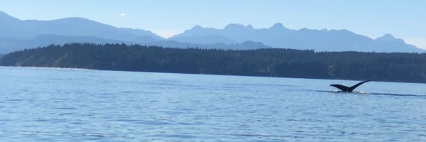 jenf2001 Profile Banner