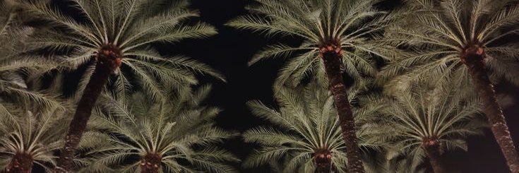 Fmv_'s profile banner image