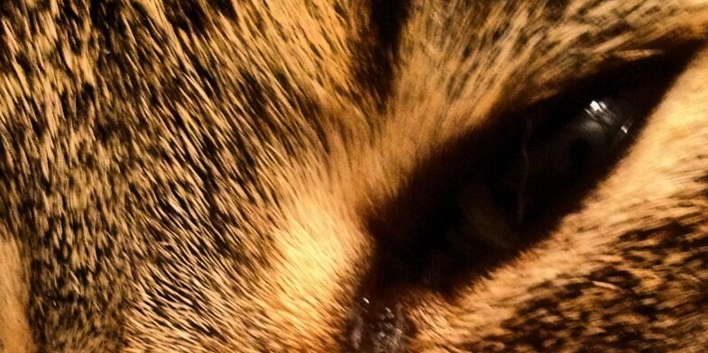 wakeupharry's profile banner image