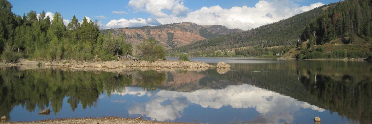 Daniel Murphy banner