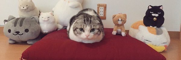 nagppoi's profile banner image