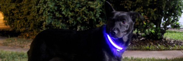 ninjapets_ Profile Banner