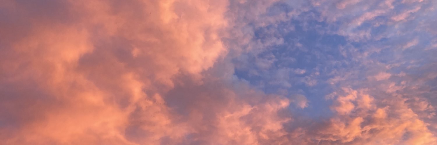 Ana Lilia Pacheco Bautista banner