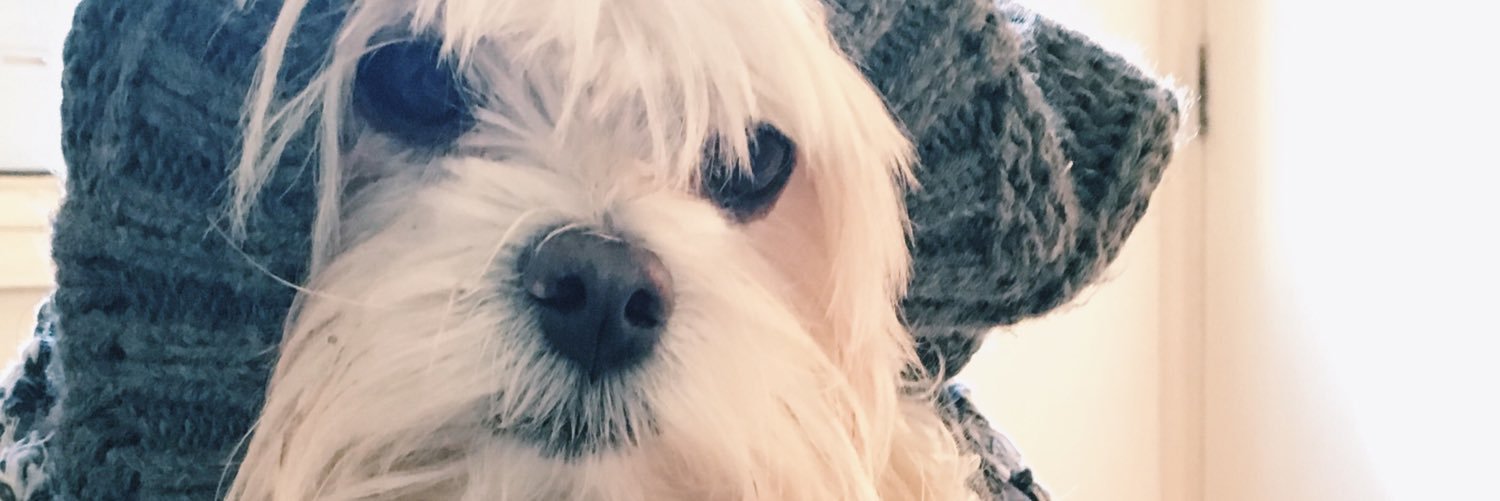 Marinaleduc's profile banner image