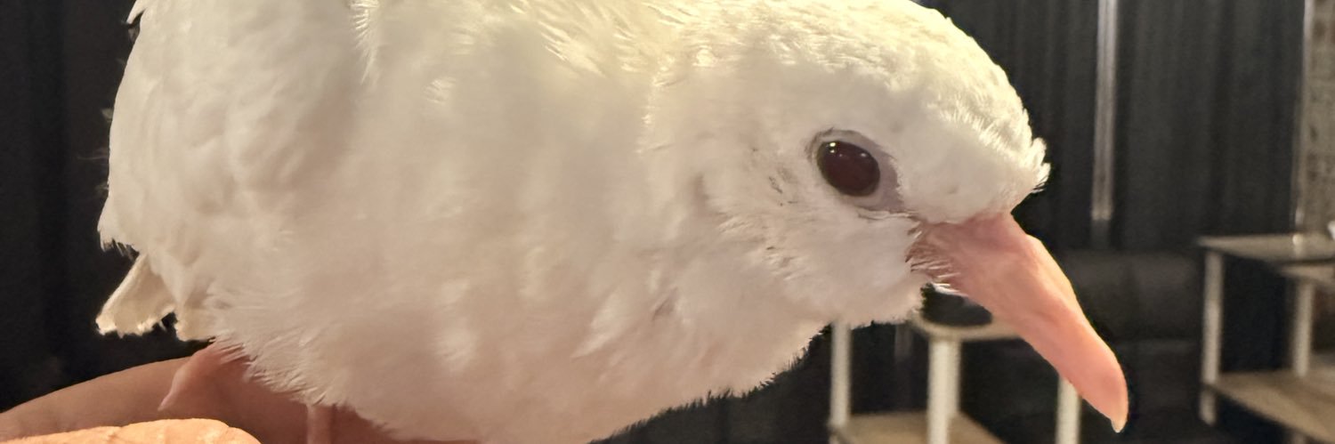 manboo96's profile banner image