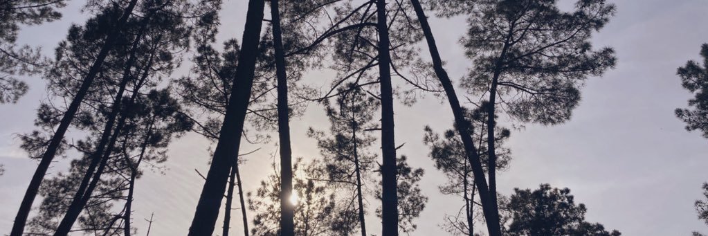HumAcosta's profile banner image