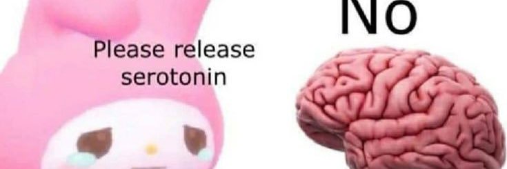 BedazledBarbie's profile banner image