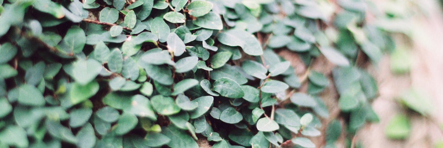 amanda_natter's profile banner image