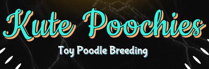 Kute Poochies🌹 banner