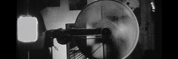 FestiFreak Profile Banner